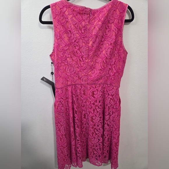 NWT Adrianna Papell Pink Lace Sleeveless Dress. Size 10 - Picture 6 of 8
